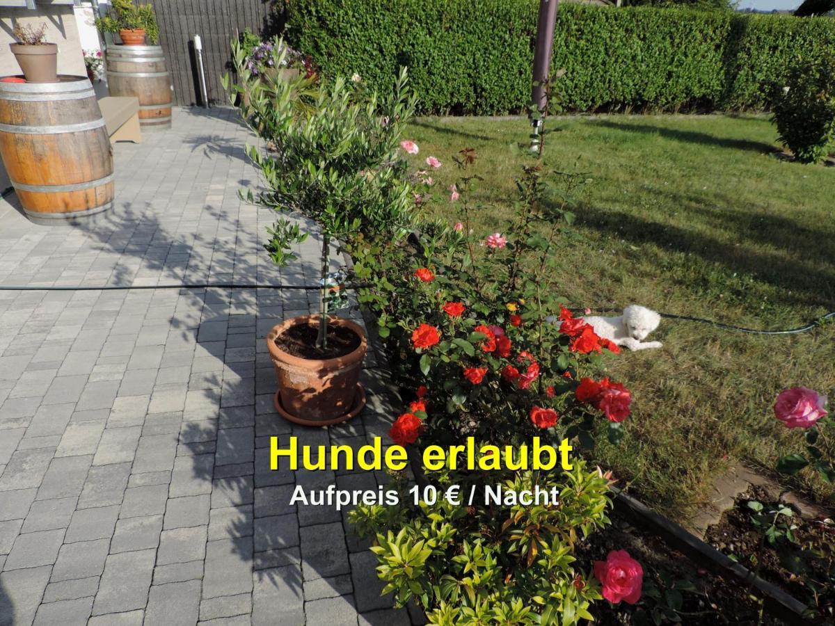 - An Den Elbwiesen Appartement *