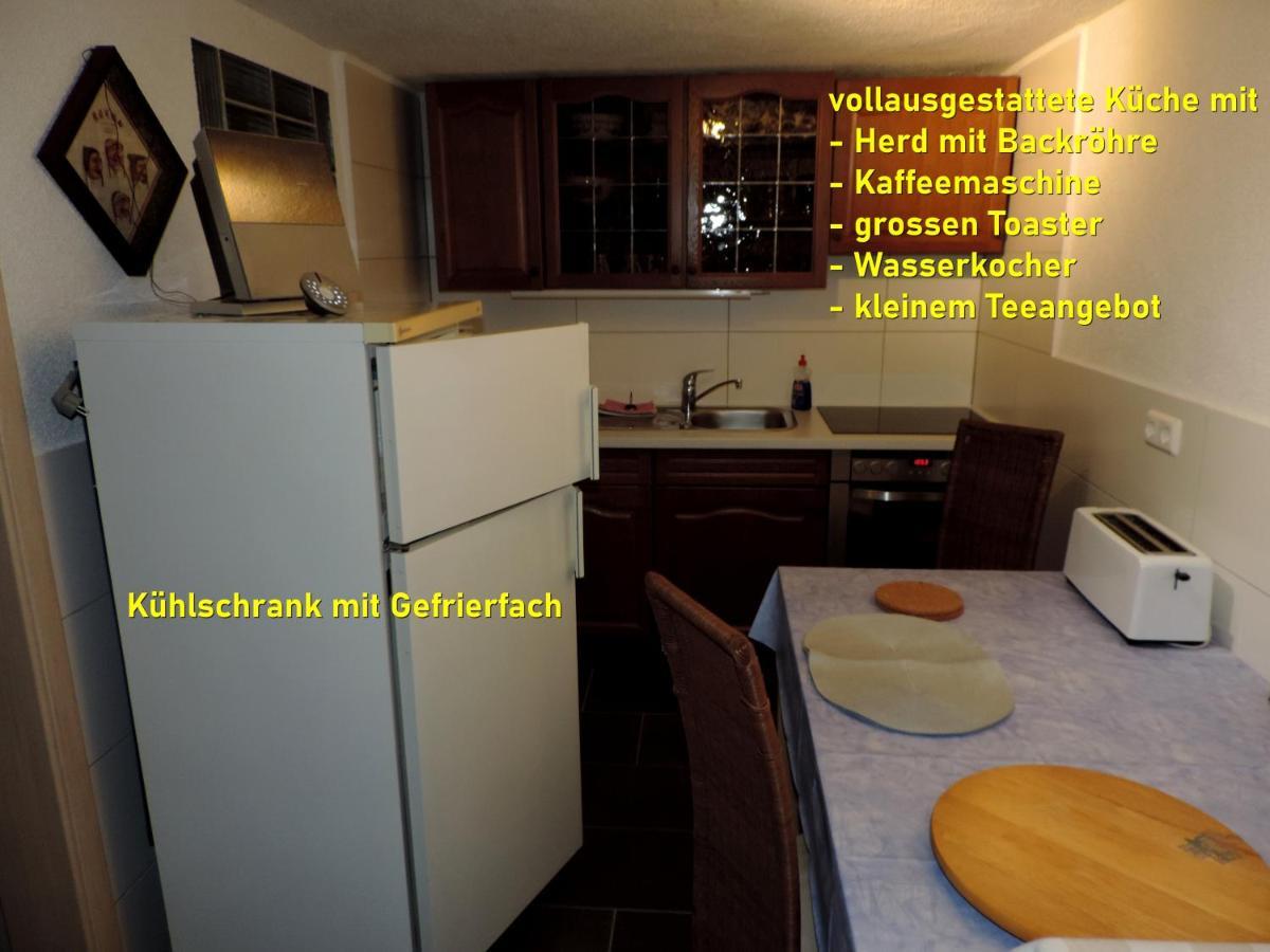 - An Den Elbwiesen Wittenberg
