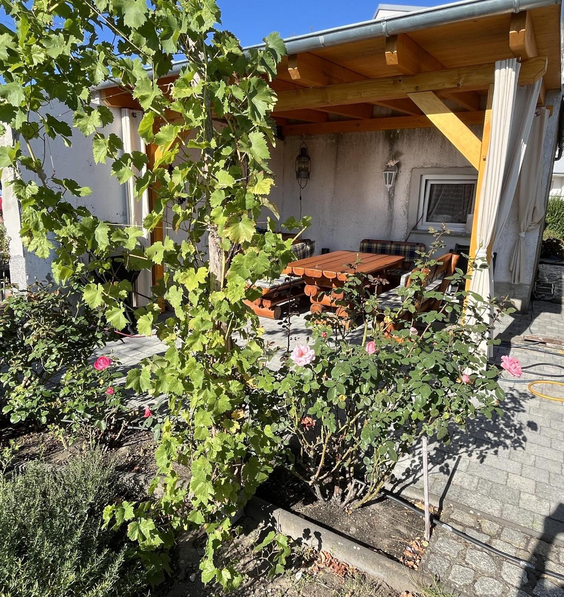 Apartment - An Den Elbwiesen *