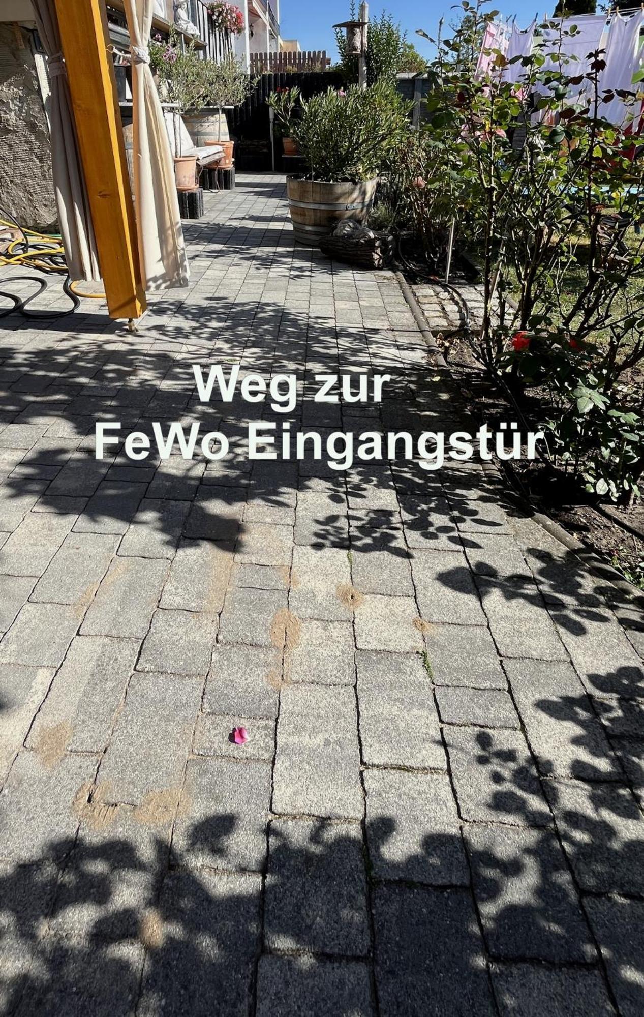Апартаменты - An Den Elbwiesen Wittenberg